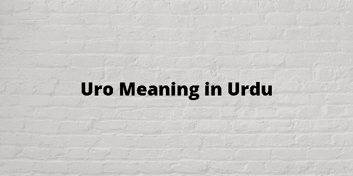 uro