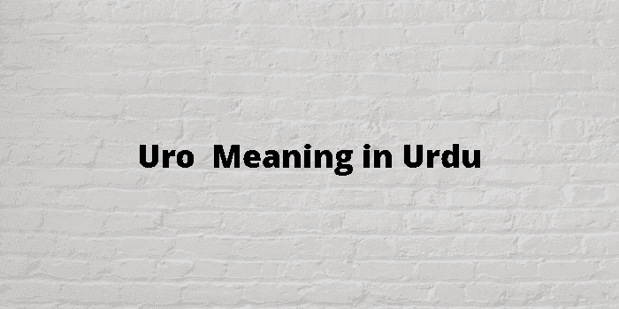 uro 