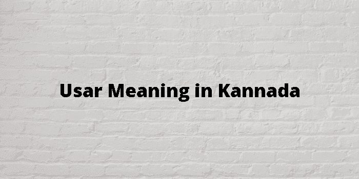 Usar Meaning In Kannada - ಕನ್ನಡ ಅರ್ಥ