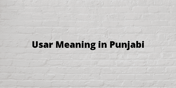 usar-meaning-in-punjabi