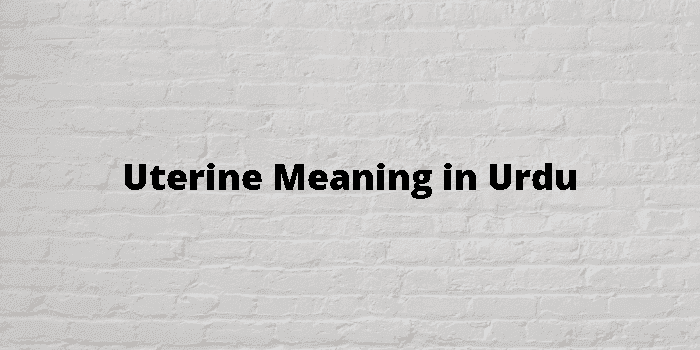 uterine