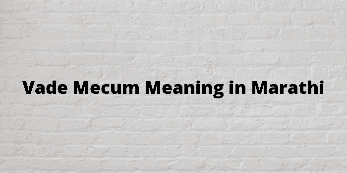 vade mecum