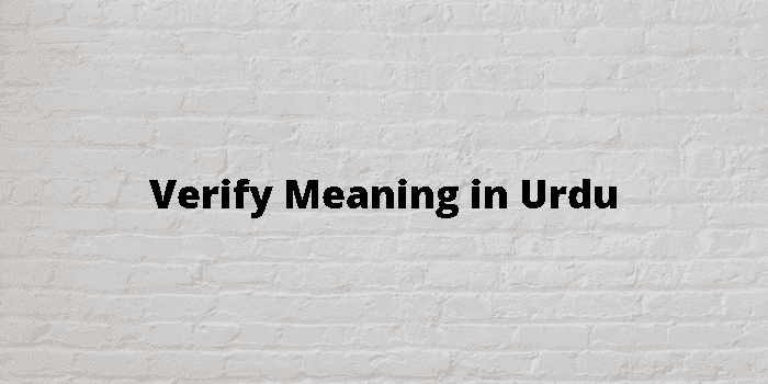 verify-meaning-in-urdu