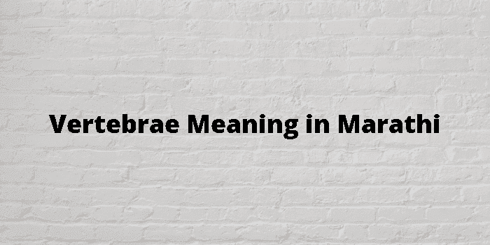 Vertebrae Meaning In Marathi - मराठी अर्थ