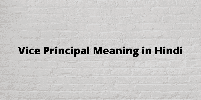 vice-principal-meaning-in-hindi