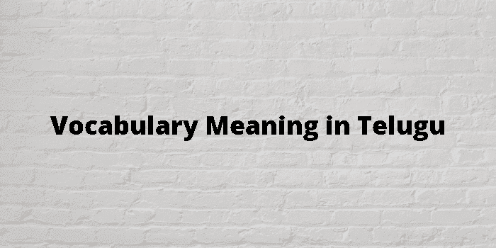 vocabulary