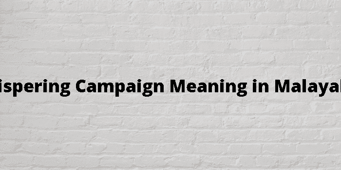 whispering campaign