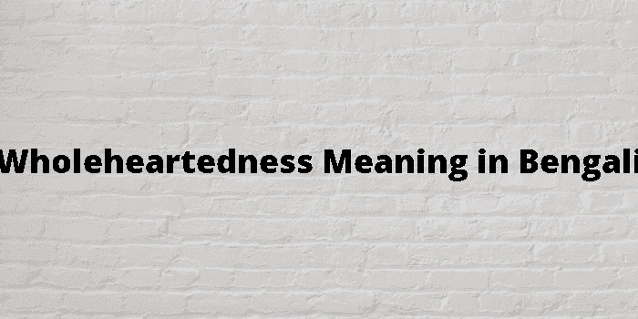 wholeheartedness