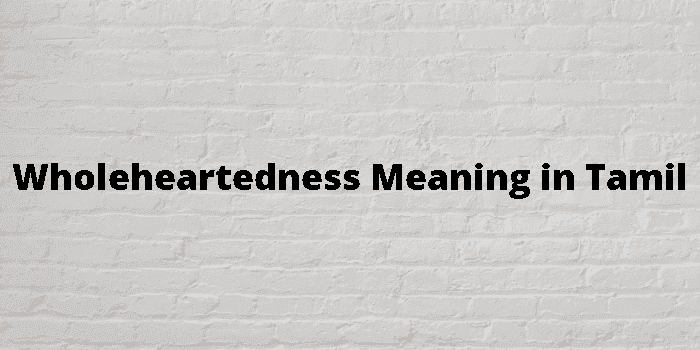 wholeheartedness