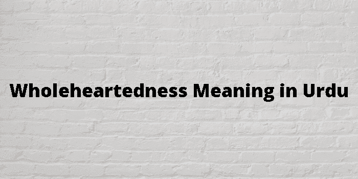 wholeheartedness