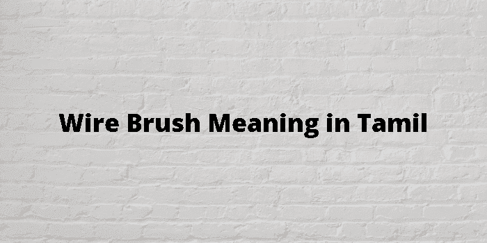 wire brush