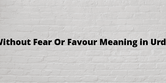 without fear or favour