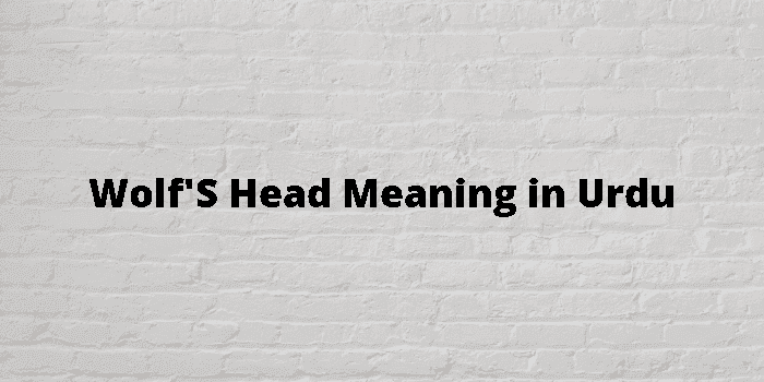 wolf-s-head-meaning-in-urdu