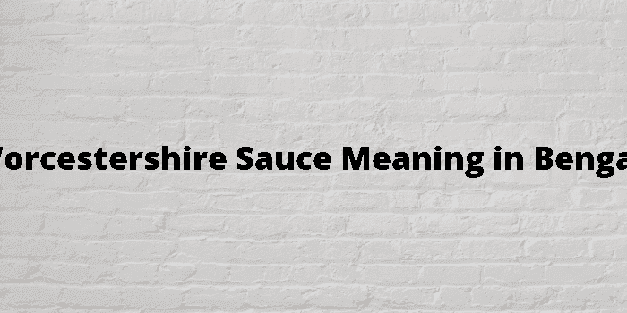 worcestershire sauce