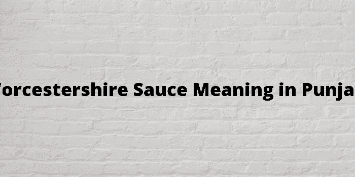 worcestershire sauce