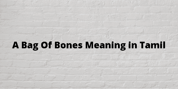 a bag of bones