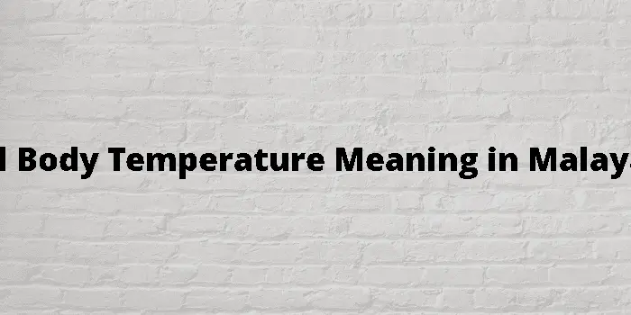 basal body temperature