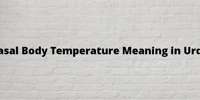 basal body temperature