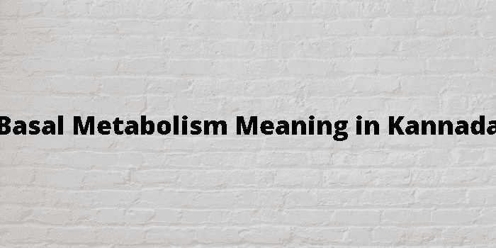 basal metabolism