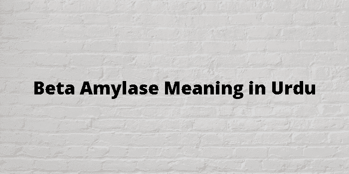 beta amylase