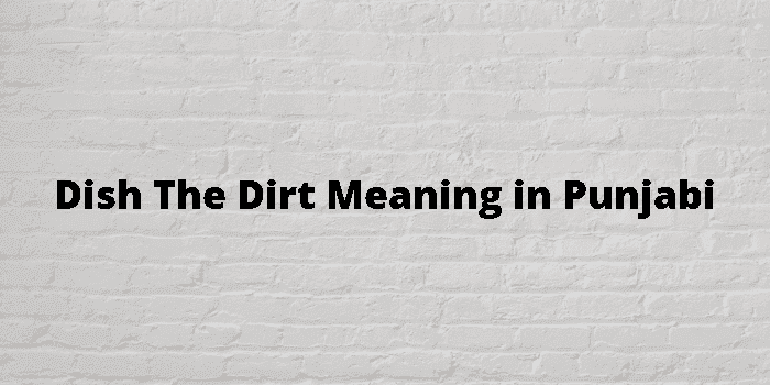 dish the dirt