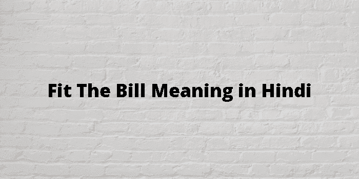 fit the bill