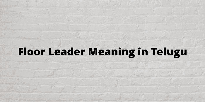 Floor Leader Meaning In Telugu