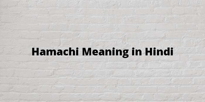 hamachi