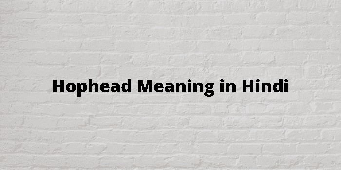 hophead