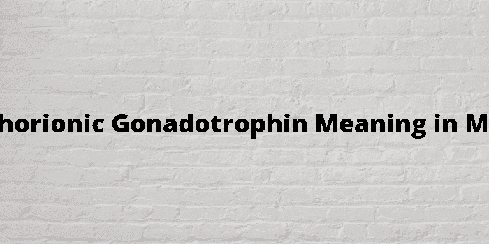 human chorionic gonadotrophin