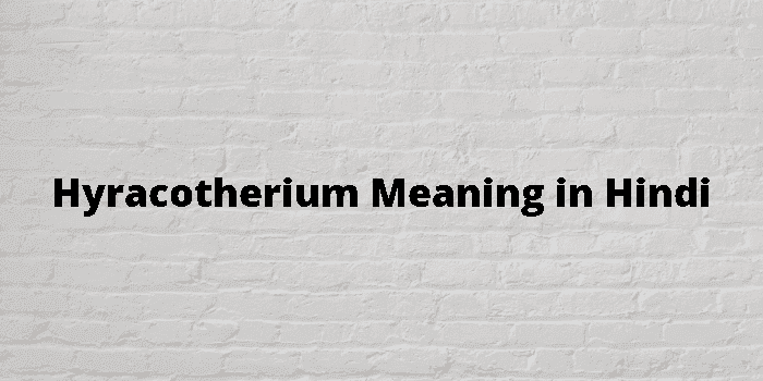 hyracotherium