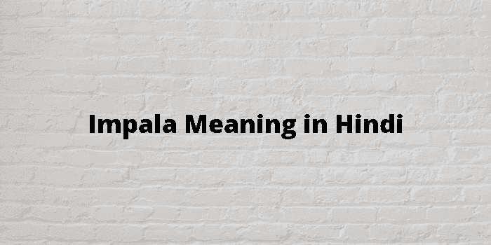Impala Meaning In Hindi - हिंदी अर्थ