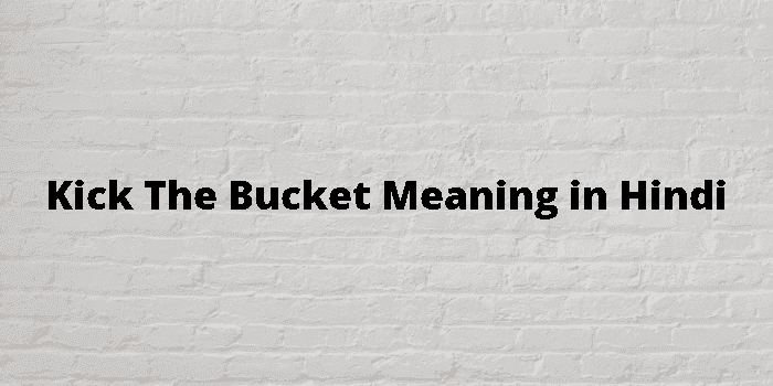 kick the bucket