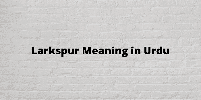 Larkspur Meaning In Urdu اردو معنی
