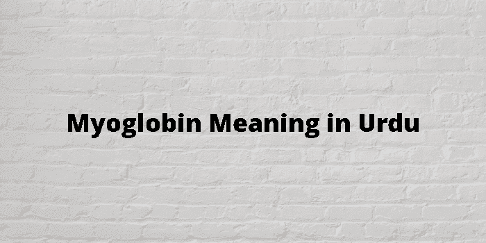 myoglobin