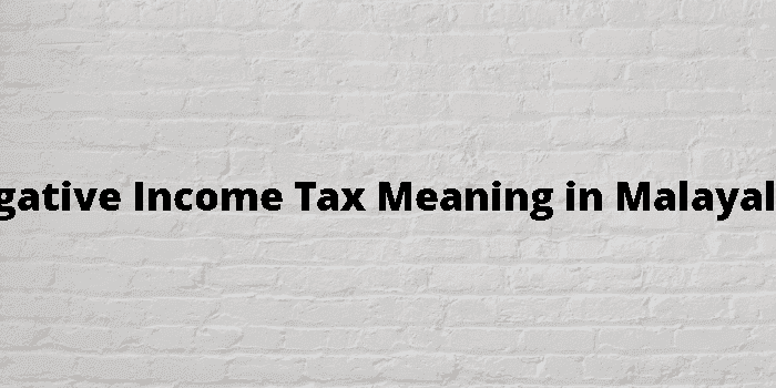 negative income tax