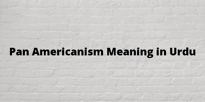 pan americanism