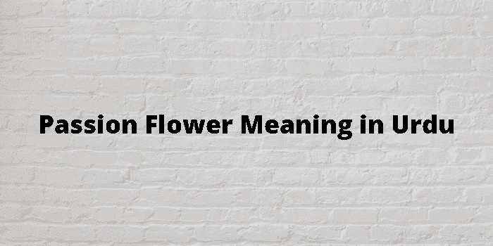 Passion Flower Meaning In Urdu اردو معنی