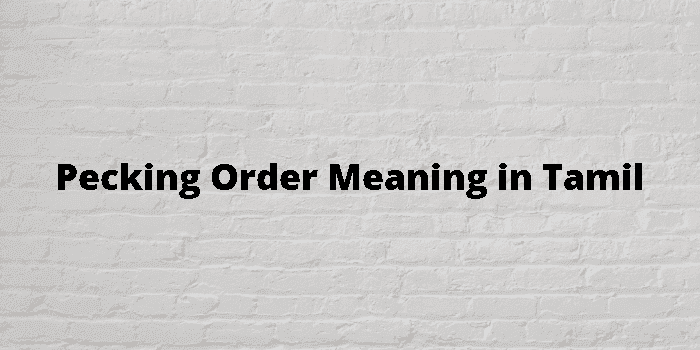 pecking order