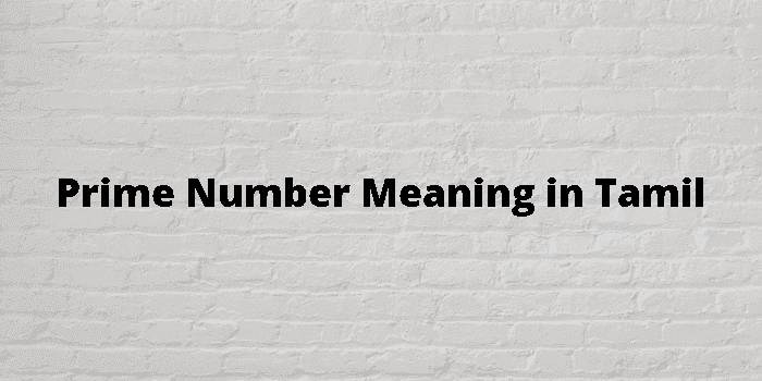 prime number