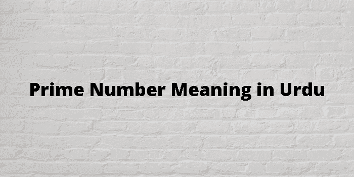prime number