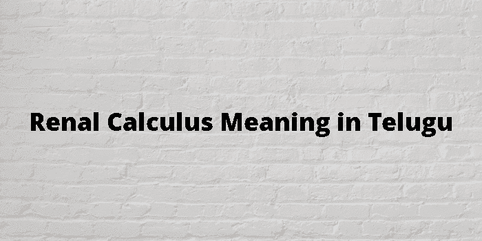 renal calculus
