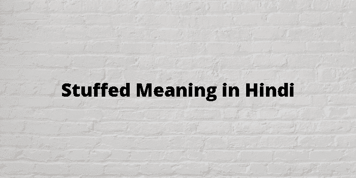 Stuffed Meaning In Hindi - हिंदी अर्थ