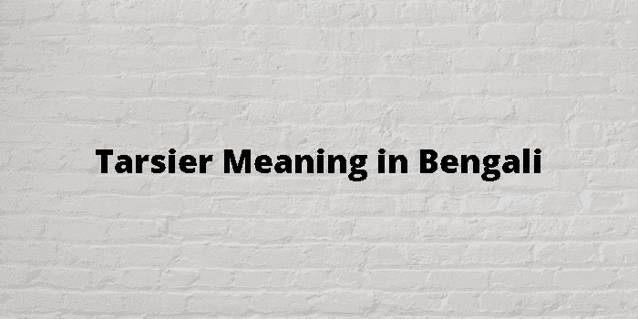 Tarsier Meaning In Bengali - বাংলা অর্থ