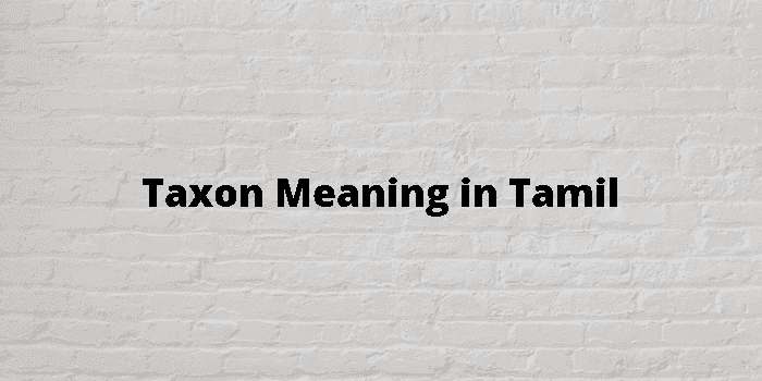 taxon